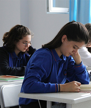 Fen Ve Anadolu Lisesi